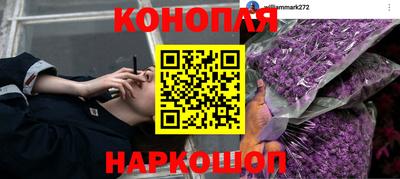 PSILOCYBIN Малоярославец