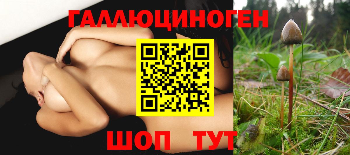 Галлюциногенные грибы мухоморы Зерноград